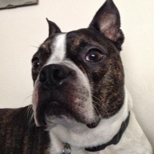 Meet your Posher, Mary